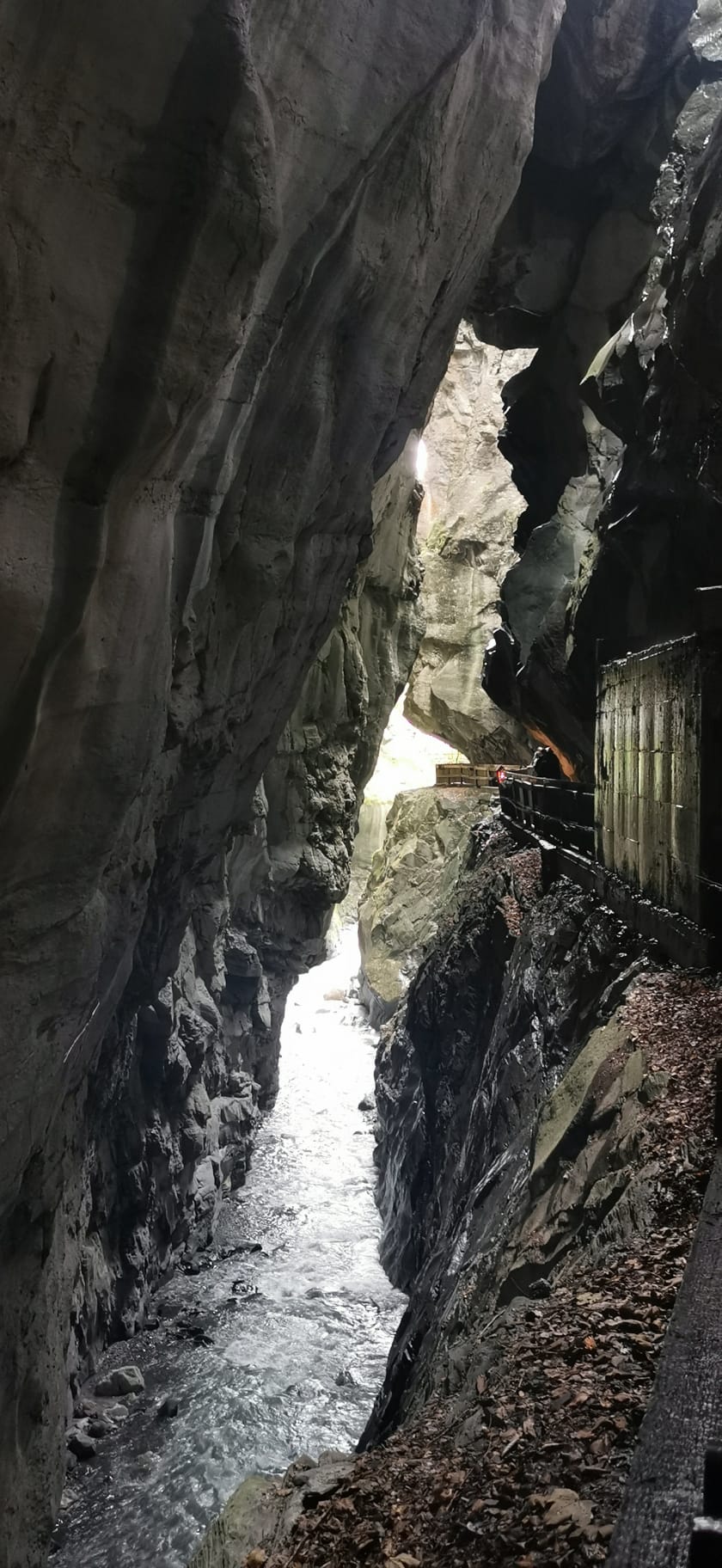 Auszelten 2022 auf dem Camping Mittagsspitze in Triesen