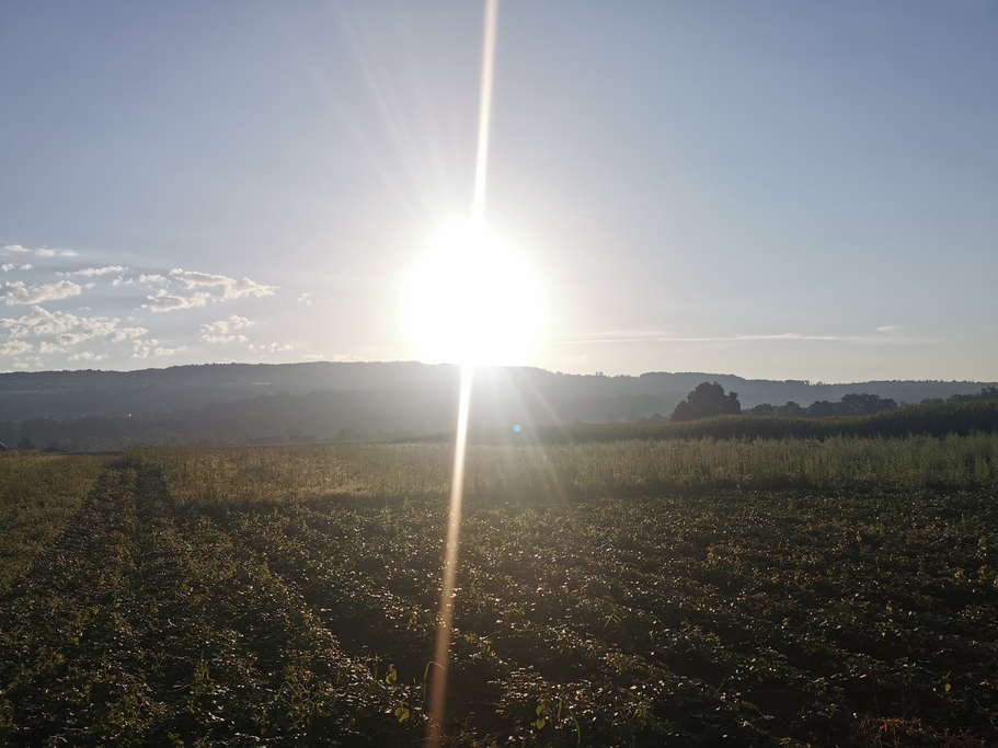 Campingtour 2 auf dem Camping Sulz bei Künten