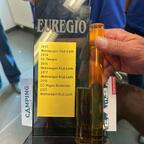 Euregio - Rally 2025